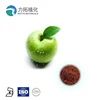 Natural Apple Polyphenols / Phloretin / Phloridzin / Apple Extract