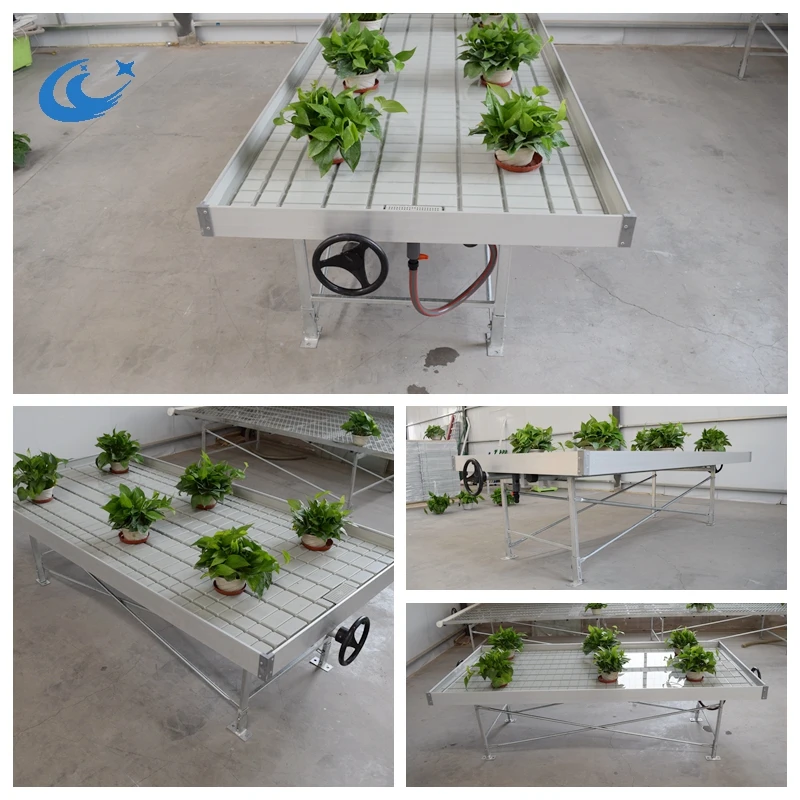 Greenhouse plastic seedbed rolling benches hydropo<em></em>nic grow system