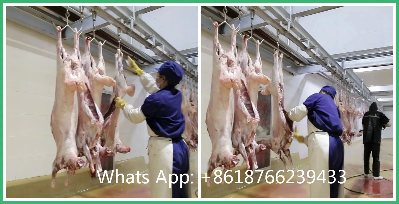 New Abattoir Sheep Slaughterhouse Equipment With Lamb Slaughter Sewage Waste Water Treatment