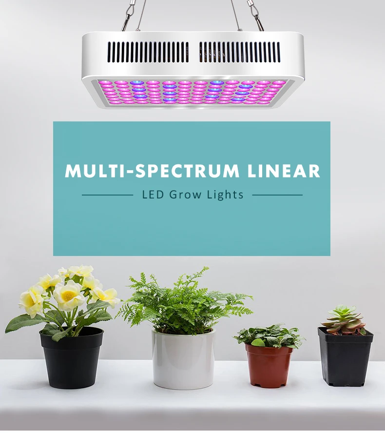 Led Grow Light Dimmbare 300W Multispektrale Pflanzenlampe für den Innenanbau 