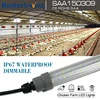 led poultry light dimmable led tube lights chicken shed lighting waterproof IP67