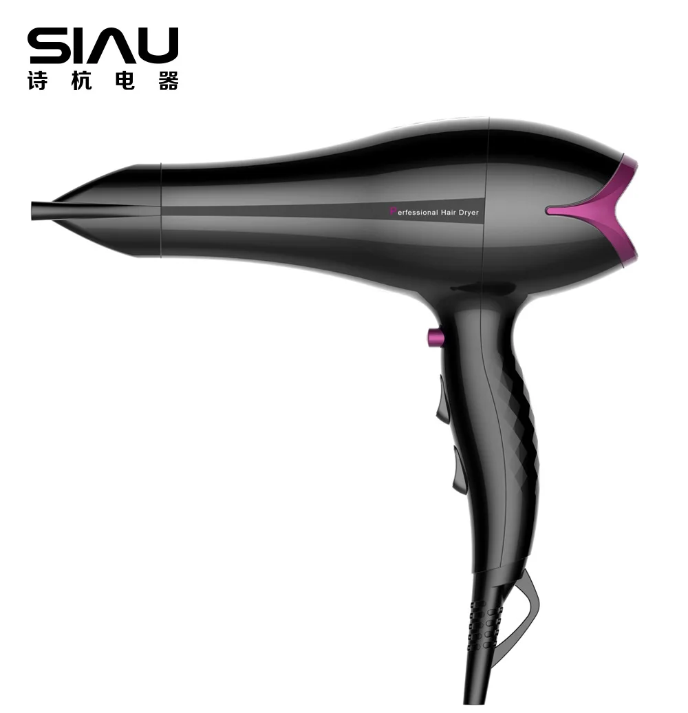 Download 2200w Strong Wind Barbershop Hair Dryer For Professional ...