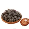 Organic Moringa seeds from Moringa oleifera Lam new crops