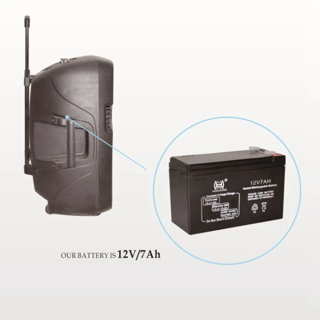 Hifi Power Supply Subwoofer Sound Box Audio System Portable DVD Speaker - ANKUX.COM