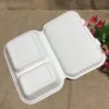 1000ml 2 Comp Bagasse Lunch Clamshell Box Compostable Food Packaging Box Takeout Food Container