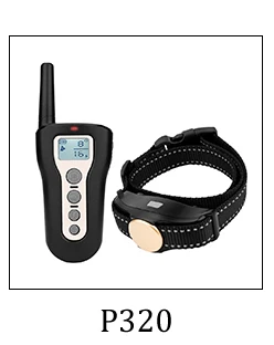 dog training collar