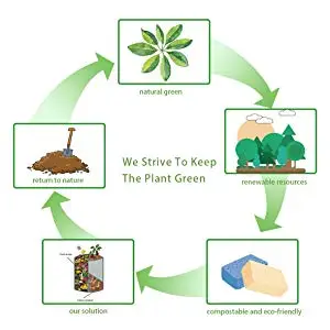 cellulose sponge 56.jpg