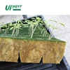 UPuper Cultivation Plug seeding agricultural rock wool CP25T 200 cube sheet for small green house