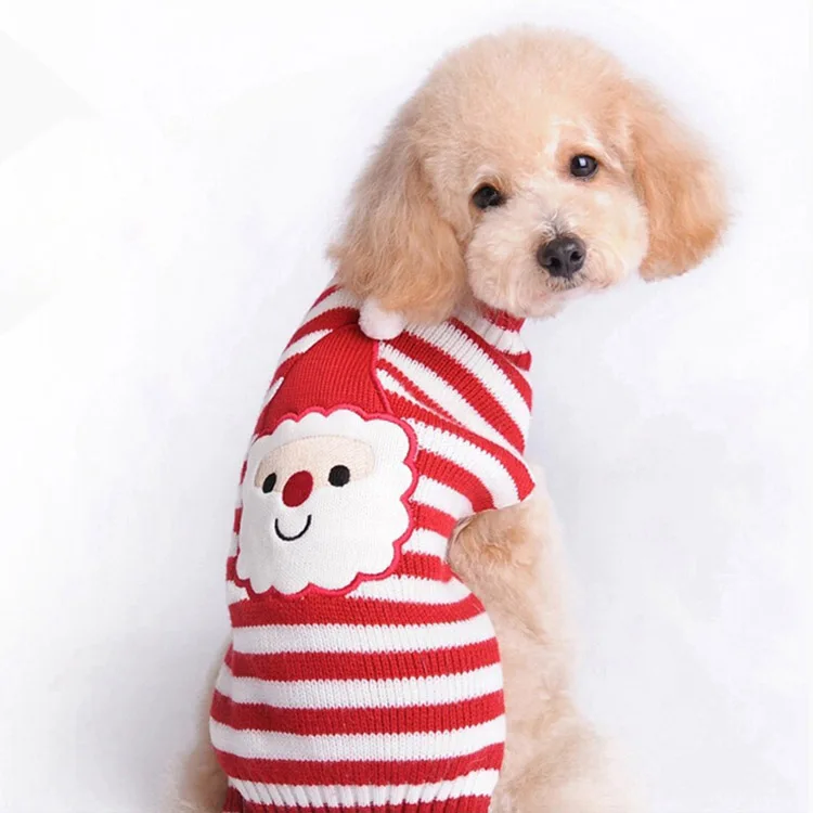 sata dog sweater5