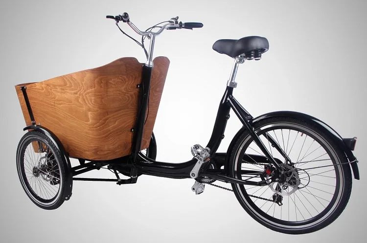 motorized 3 wheel bikes for adults