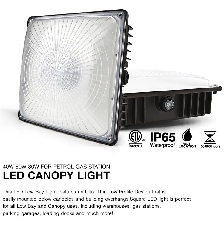 led-canopy-light_01