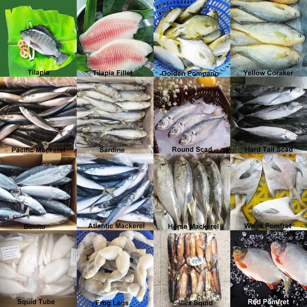 frozen skipjack bait for sale online