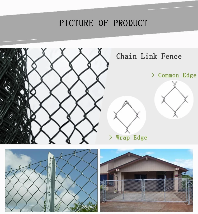 chain link fence (2).jpg