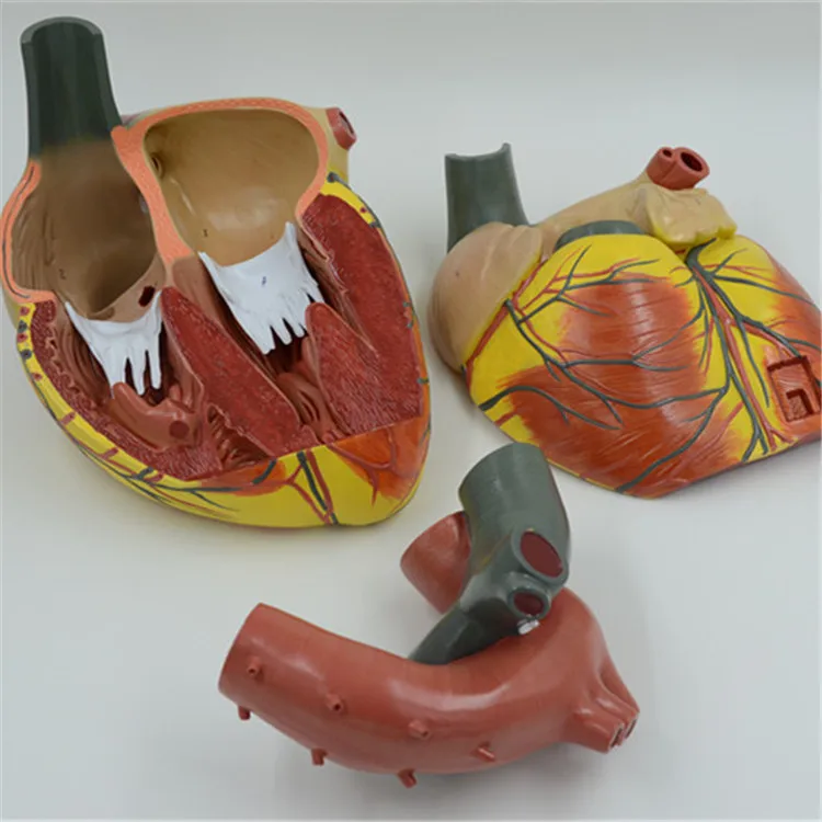 Factory Supply Cheap Portable Scale Measures Muscle Bone Bmi Bmr And