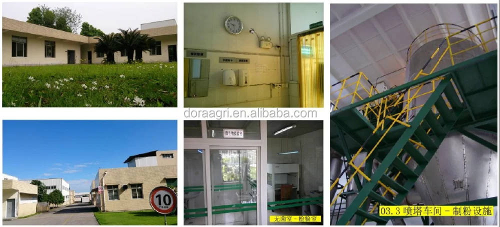 company information (2).png