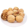 Factory wholesale high quality walnuts dried walnut in shell
