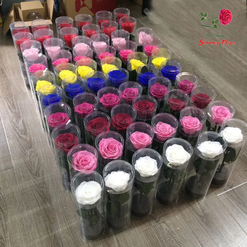 Wholesale Preserved Roses Cheaper Eternal Stabilized Flowers Rose With