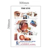 Medical Chart 3D embossed eye poster