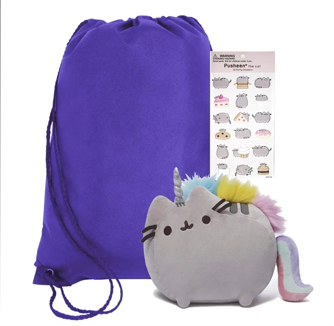 pusheen and stormy keychain