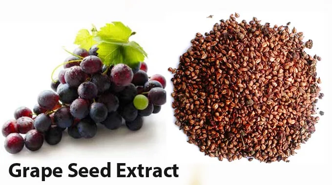 health benefits of grape seed extract,grape seed resveratrol
