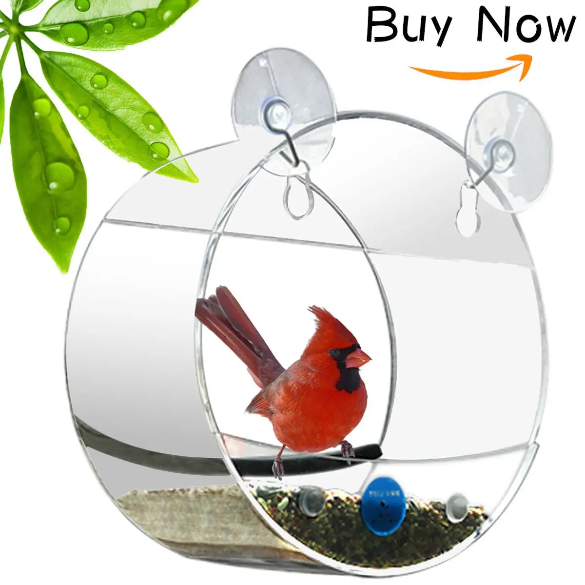 Clear Bird Feeder for Window - Window Hummingbird Feeder with Strong Suctio...