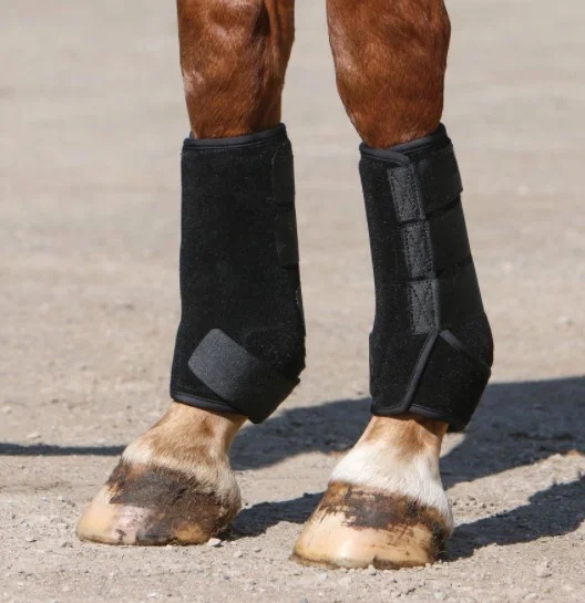 Horse Ice Boot Horse Knee Brace Cooling Ice Horse Leg Packs Wraps ...