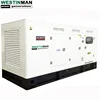 Selected Supplier 1500RPM 100 kw Electricity Diesel Generator