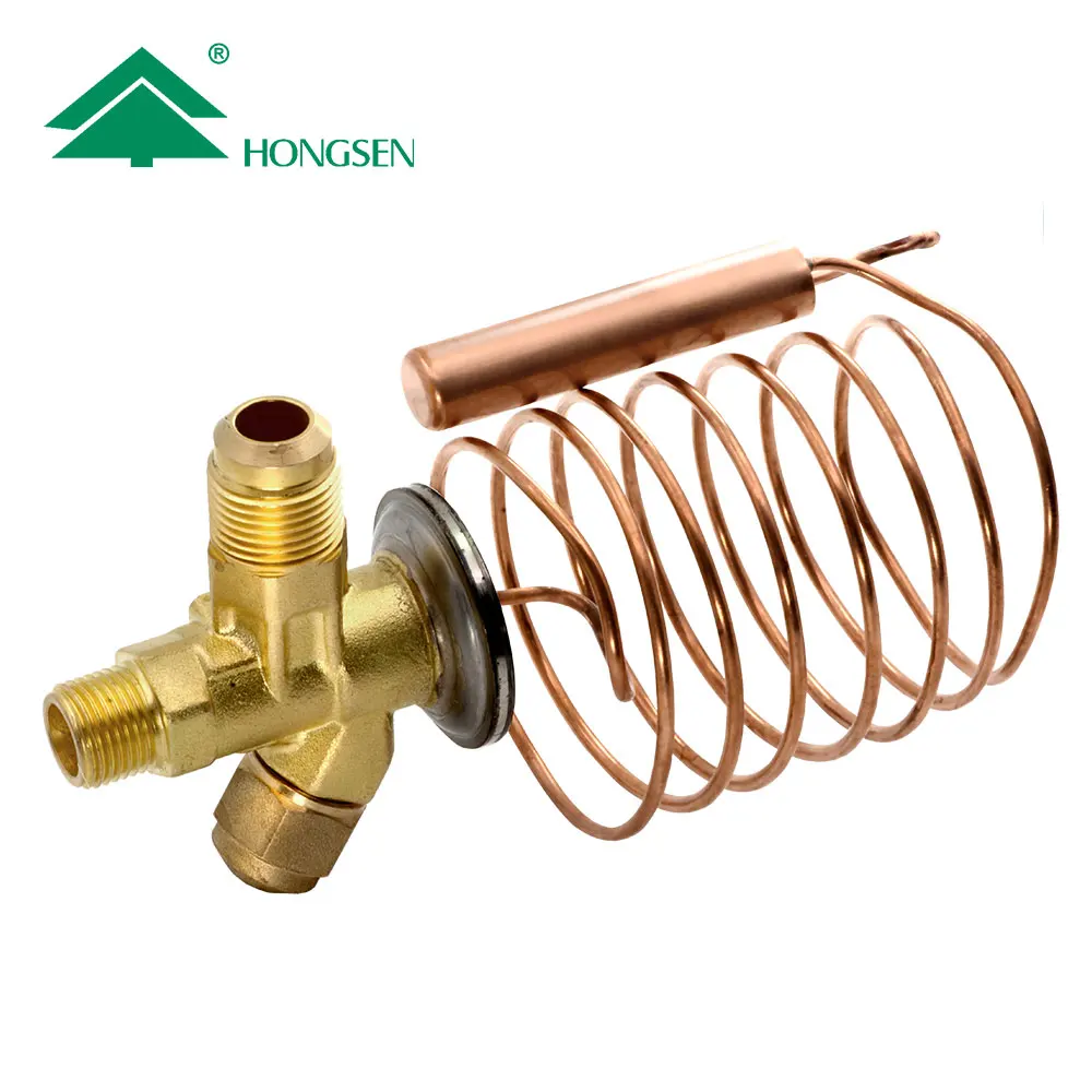 Hongsen Thermal Expansion Valve And R134a Cooling Expansion Valve Buy