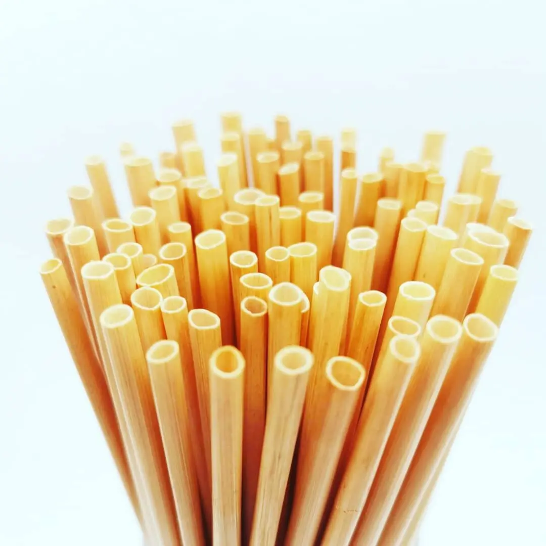 100 Biodegradable Natural Bar Beverage Plastic Ban Using Disposable