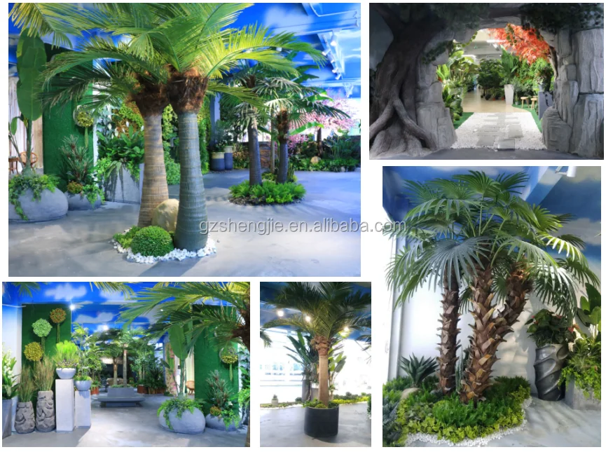 palm tree showroom.png