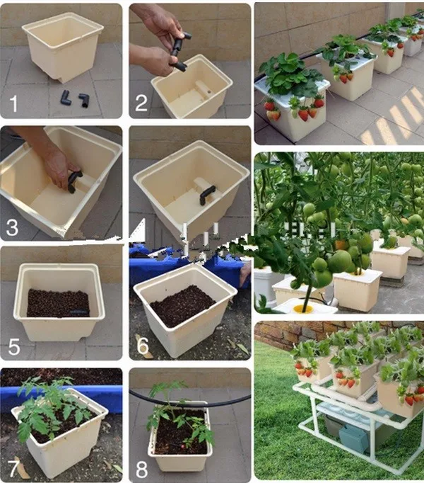 wick system hydroponics