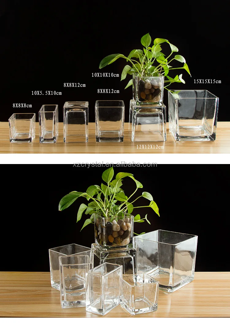 Wholesale Glass Square Vase For Decoration In Clear Buy Wholesale