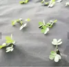 pp / pe Weed barrier mat lowes for wholesale plants protection net