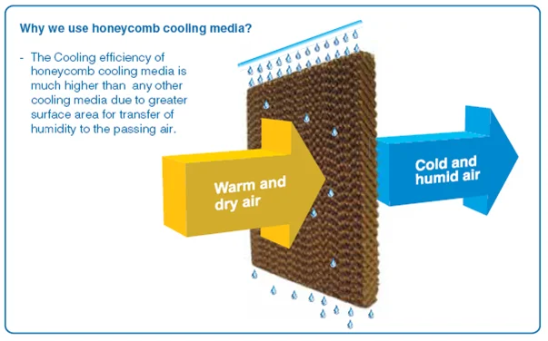 3 In 1 Air Cooler With Cooling And Heating And Air Humidifier Purifier