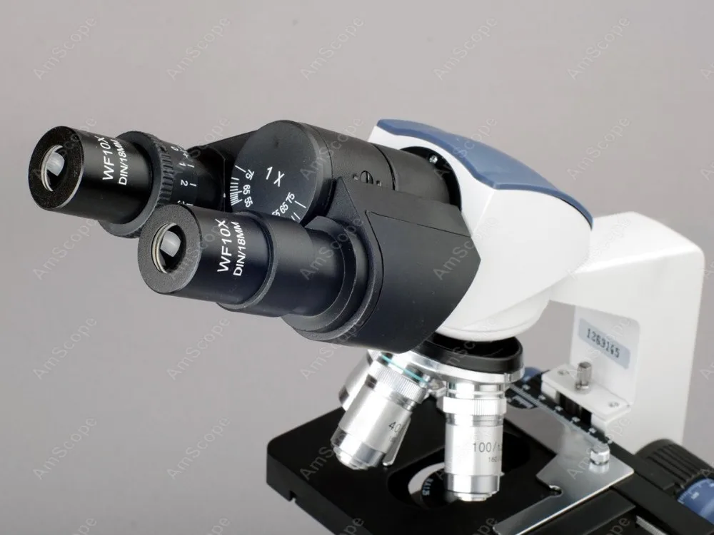 40X-2500X LED Digital Binocular Compound Microscope w 3D Stage 5MP USB Camera