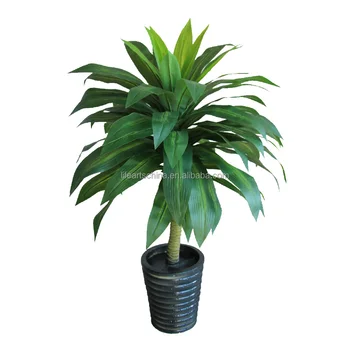 Fake Plant Tropical 100cm Potted Dracaena Fake Plant Tropical 100cm Potted Dracaena