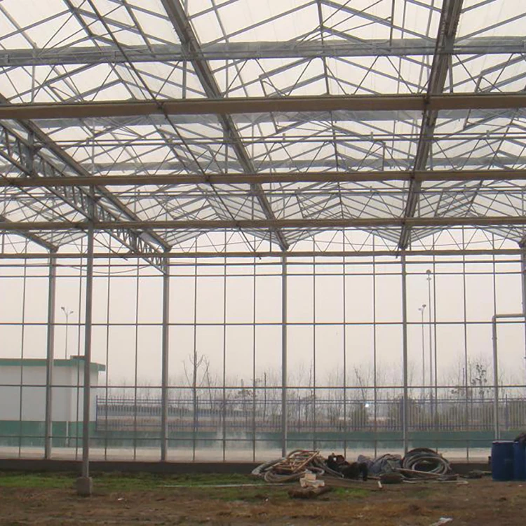 greenhouse plastic film agriculture
