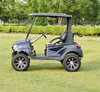 4 seats CE Approved electric utility vehicle on road street legal homologation golf car 48V 3KW DC Motor Drive