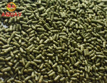 Binatang Melata Makanan Penyu Pakan Dengan Reputasi Yang Baik Buy Pakan Penyu Reptil Makanan Penyu Tongkat Product On Alibaba Com