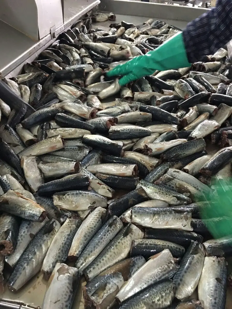 mmexport1465379590136