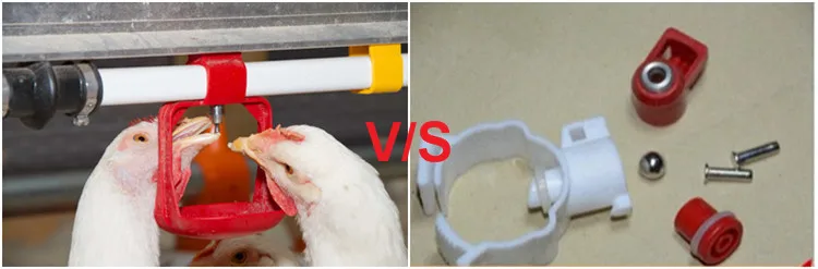 Chiken cage (56)_.jpg