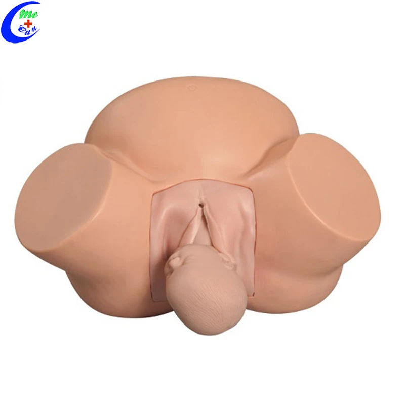 dummy simulator