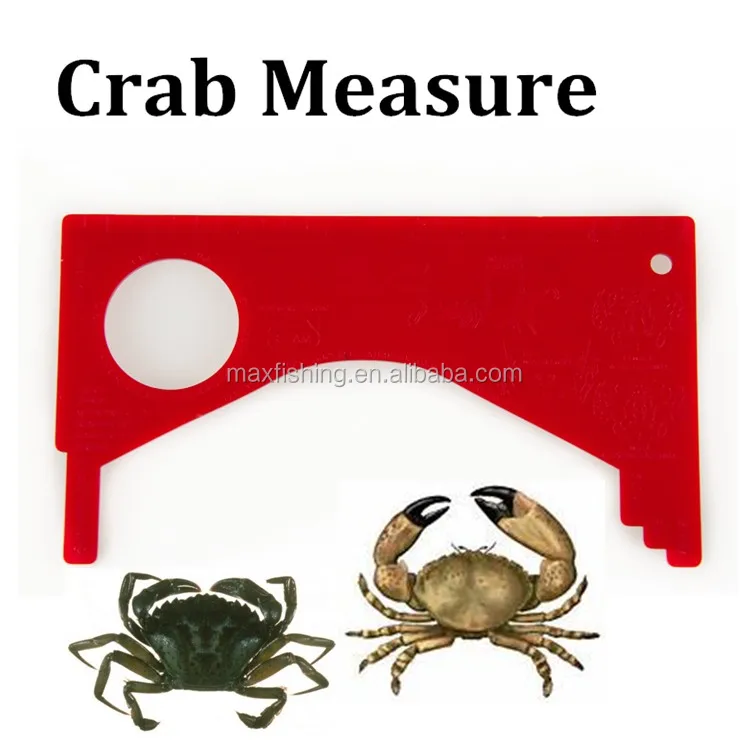 Plastic Lobster Shellfish Crab Gauge Buy Crab Gauge,Shellfish Gauge