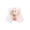 Transparent curettage model medical human body torso model medical students operation technique training model for sale