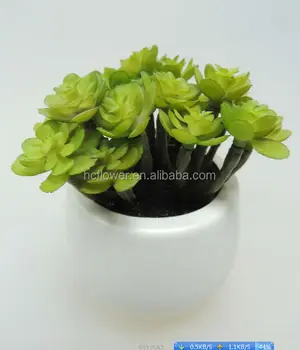 Office Desk Decoration Small Pot Plant Buy Office Desk