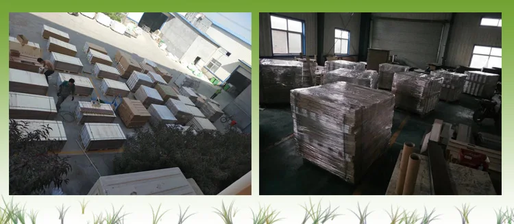 Popular and useful pvc flooring