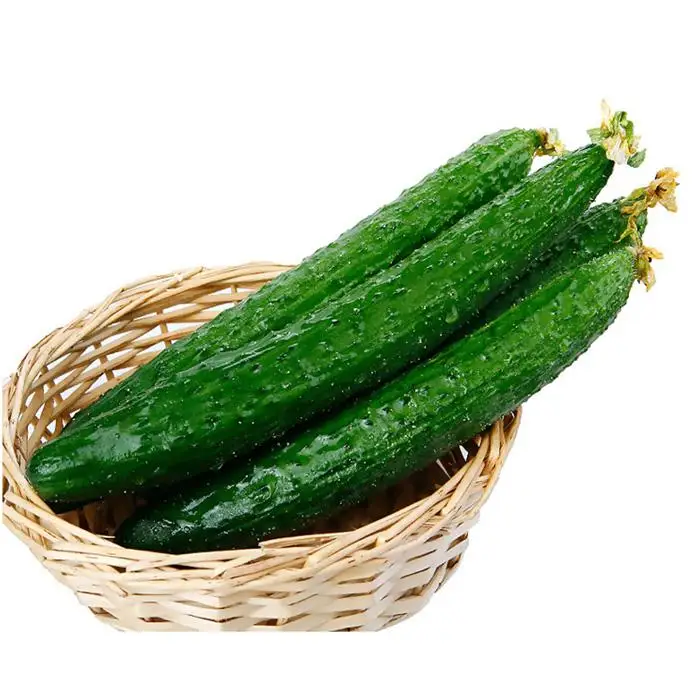 top quality cucumber extract cucumber powder