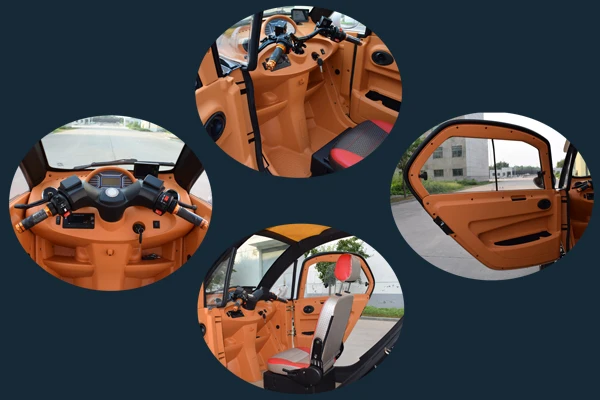 electric car adult .jpg
