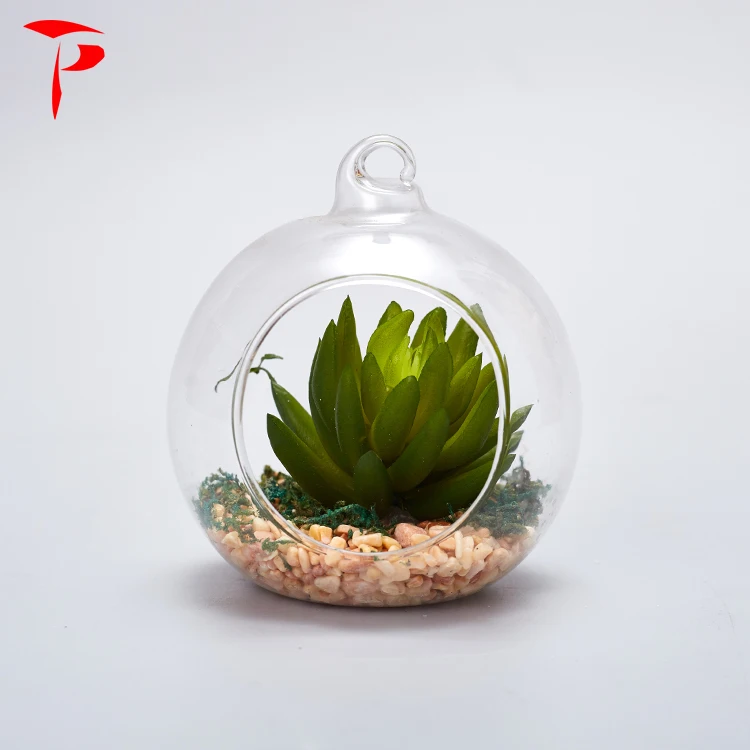 Handblown Hanging Terrarium Glass Clear Glass Terrarium Globe Wholesale Buy Glass Terrarium