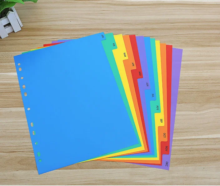 Raco High Quality Wholesale Paper Divider A4 Paper Tab File Divider